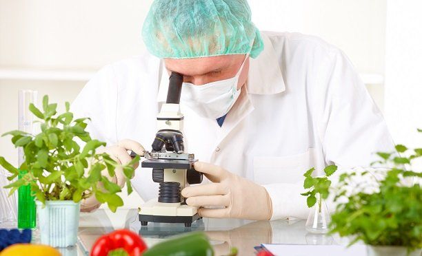 Arge �al��malar� Devam etmektedir